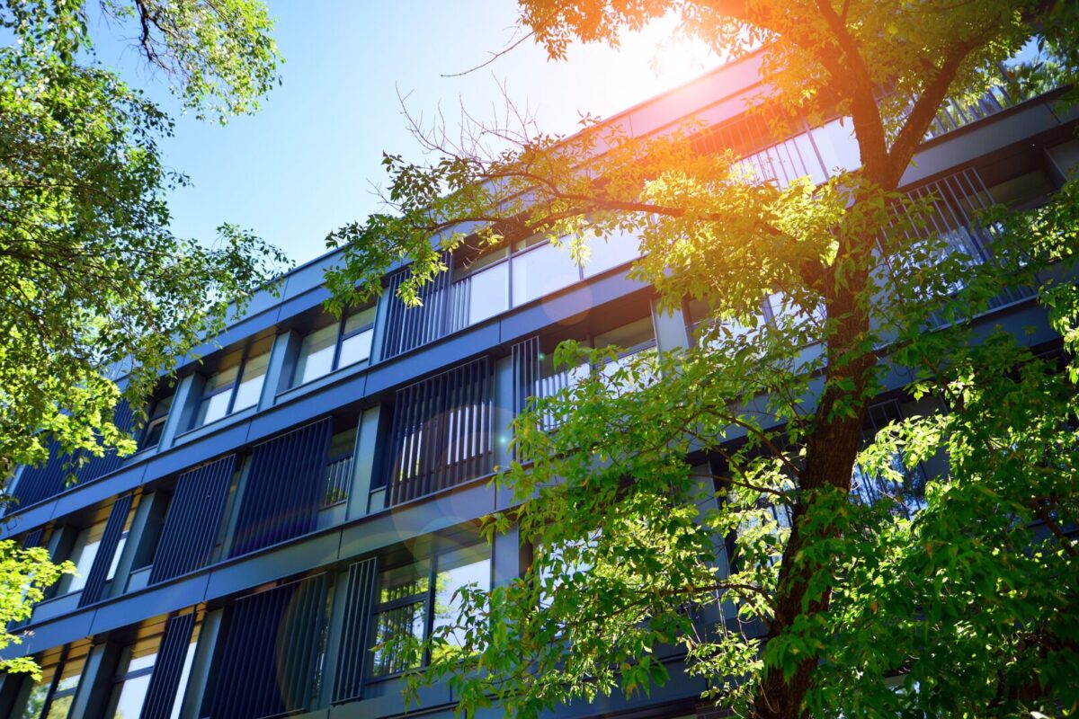 Benefici Ambientali e Pellicole Antisolari