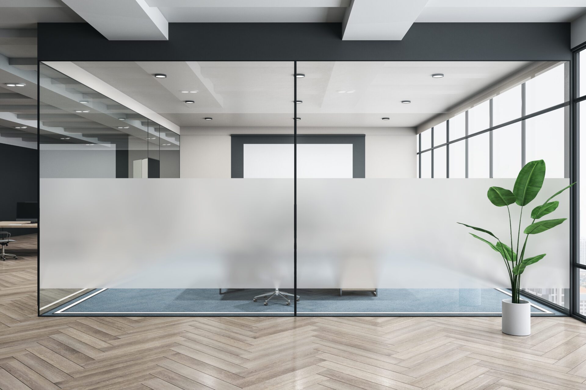 Pellicole opacizzanti - 28 s.r.l.