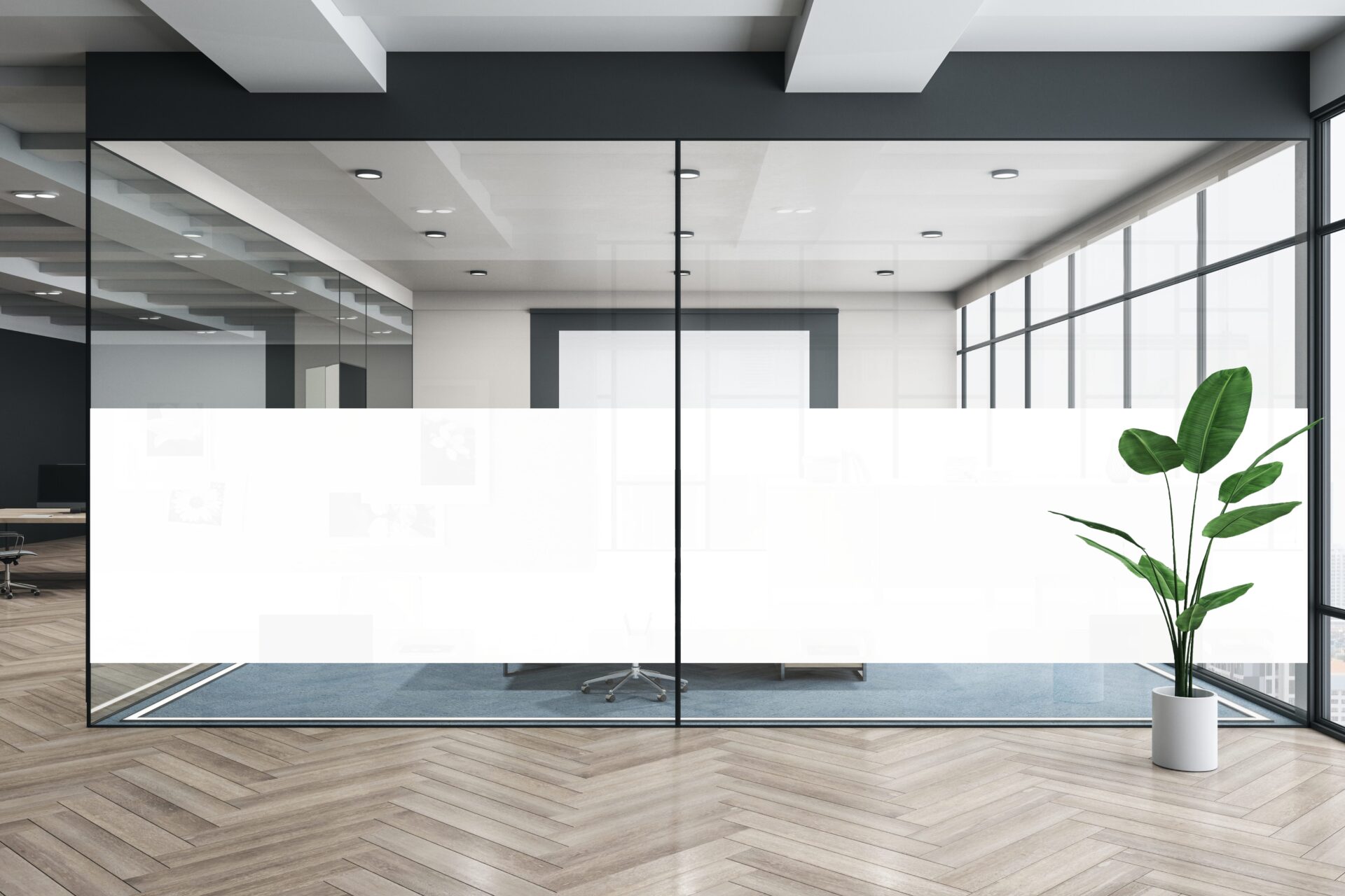 Whiteout - 28 s.r.l.