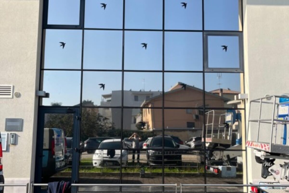 Ascom Servizi – dimensioni medie - 28 s.r.l.